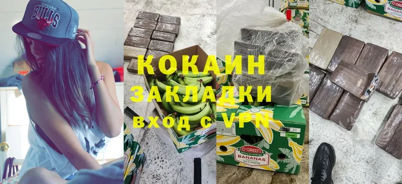 купить наркотики сайты  Новомичуринск  COCAIN Fish Scale 